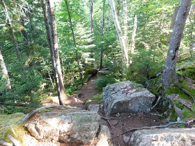 The Mt Carleton #5.2 Trail