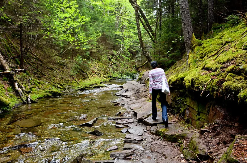 Dickson Falls Trail